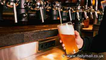 Experts sound the alarm over cancer-causing chemicals hidden in popular BEERS