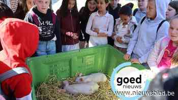 BinnenBijBoeren dompelt 250 leerlingen onder in de wereld van landbouw en fruitteelt