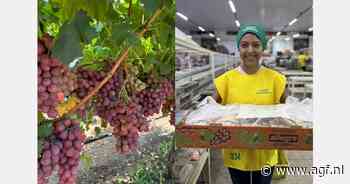 Braziliaanse druiventelers werken aan toegang China