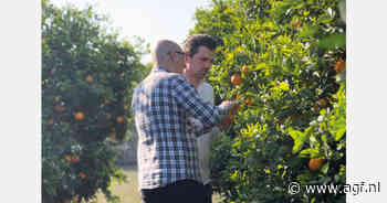 "Argentinië heeft de weg naar Europa en Rusland weer gevonden met citroenen"