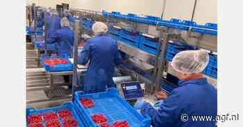 Drie belangrijke uitdagingen bij het verpakken van zachtfruit opgelost