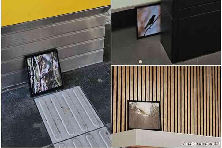 Laatste dag van kunstproject ‘Vanuit Purmerend, met Liefde’ – Alle 24 ingelijste foto’s nu verspreid