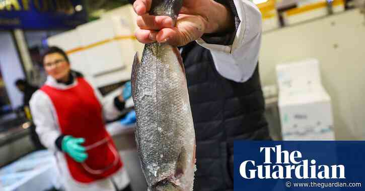 The hidden cost of your supermarket sea bass