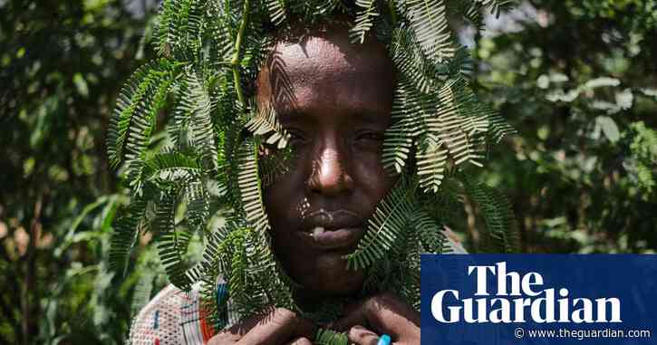 How an idealistic tree-planting project turned into Kenya’s toxic, thorny nightmare