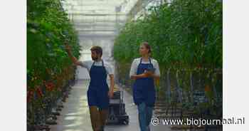 Mazen in Europese wetgeving maken arbeidsuitbuiting grensoverschrijdend probleem