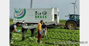 "Zonder arbeidsmigranten geen dagverse biologische groente in de supermarkt"