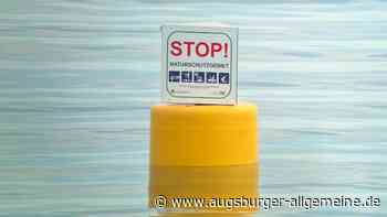 Keine Fischadler-Brut am Ammersee: Was bedeutet das für die Zukunft?