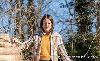 Norfolk farmer Emily Norton appointed new chair of AHDB