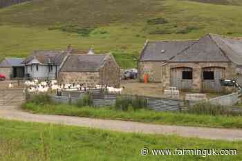 NFU Scotland warns against farmers 'carrying the burden' in net zero drive