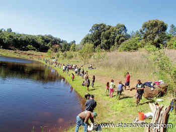 Kokua Line: Why can’t I catch and release rainbow trout?