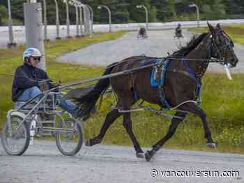Rats! Infestation at Fraser Downs leads to closure, lawsuit from horse owners