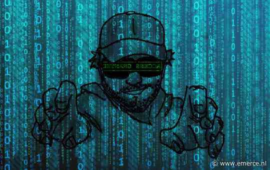 Eén op de vijf Nederlandse bedrijven leed in 2024 schade door cyberaanval