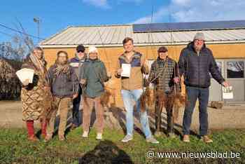“Is jouw buurt een groene oase, of is er werk aan de winkel?” Beweging.net gaat rond met 3-30-300-bevraging