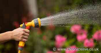 Gardening expert explains how to protect your garden in a drought if there's a hosepipe ban