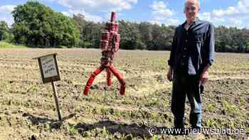 Opvallende aanklacht tegen zwerfvuil in Oelegem: jutter Jan bouwt raket van Kuifje van opgeraapte bierblikjes