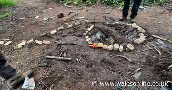 Police warning over behaviour of children in woodland divides opinion