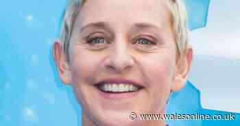 Ellen DeGeneres and Portia de Rossi mourning death of beloved rescue dog
