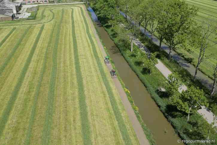 Beemster in Bloei zaait 20.000 m² bloemenranden voor meer biodiversiteit