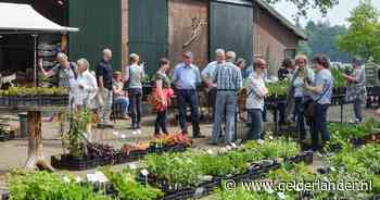 Zomerbloemendag bij De Boschhoeve in Wolfheze