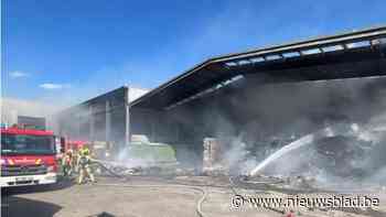 Treinverkeer tussen Vilvoorde en Mechelen onderbroken door brand in afvalverwerkend bedrijf