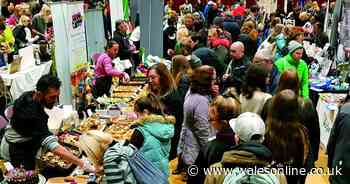 May half term 2025 in Wales: Things to do in and around Swansea