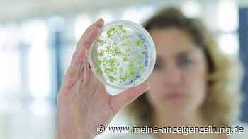 Die berühmtesten Zufallsentdeckungen der Wissenschaft