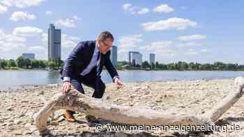 Dürre sorgt für Niedrigwasser im Rhein – Minister ist besorgt