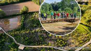 Plankenpad en poel maken Edegemse beekvallei toegankelijker en klimaatbestendiger