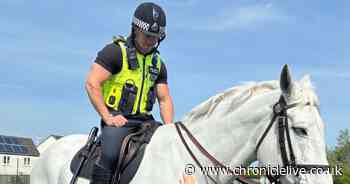 Houghton-le-Spring school visited by police as pupils enjoy fun-filled day of activities