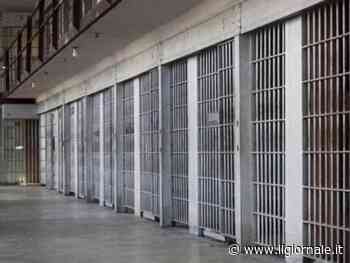 Londra dice sì alla castrazione chimica: inizia la sperimentazione sui volontari