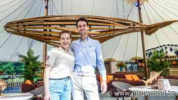 1,2 ton zware (houten) walvis spoelt aan in Hasseltse zomerbar Barthuur, “maar hopelijk zien we niet te veel water”