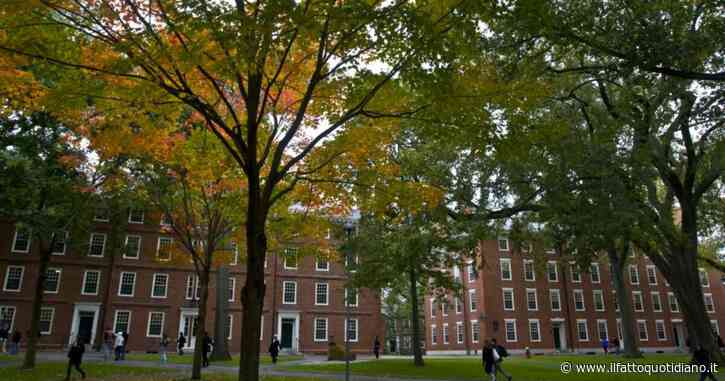 L’amministrazione Trump vieta a Harvard di ammettere studenti stranieri. Chi è già iscritto rischia di perdere il visto