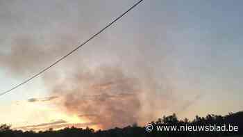 Zware bosbrand in Maasmechelen: gigantische rookpluim te zien vanuit verschillende buurtgemeenten