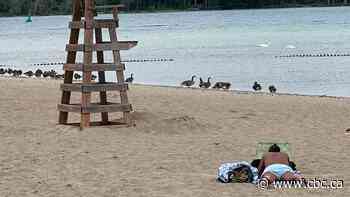 Sandpoint Beach is closed indefinitely. Here's what you need to know