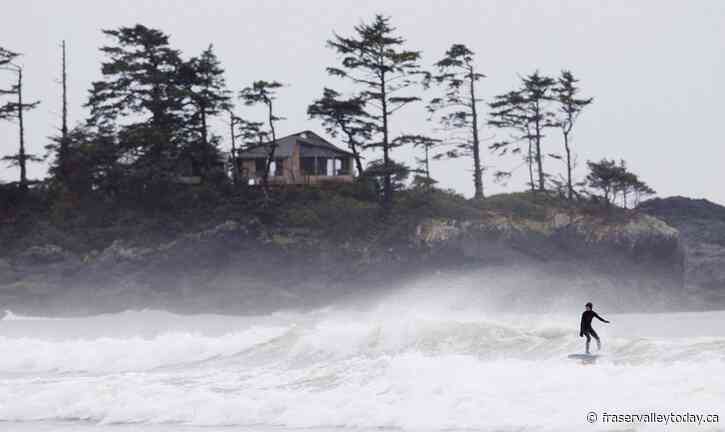 Six-foot boa constrictor goes missing from beach in Tofino, B.C.