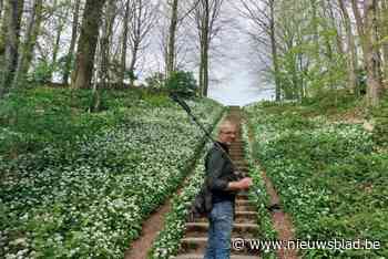 Gevierd kunstenaar David Claerbout komt met solotentoonstelling naar Kasteel van Gaasbeek