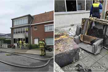 Kat sterft bij brand in appartement, slang redt het wel