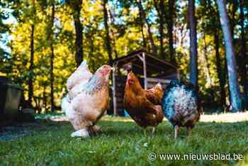 Kringloopkrachten promoten thuiskringloop tijdens infosessie