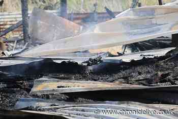 Pictures show fire damage as Houghton-le-Spring allotment blaze leaves area devastated