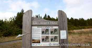 Man arrested after elderly pedestrians injured in Bedlington park 'off-road motorbike' incident