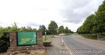 Three teens in court accused of attempted murder after boy injured in Sunderland 'stabbing'