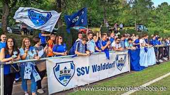 Relegation: Walddorfer Fans planen ganz besondere Aktion