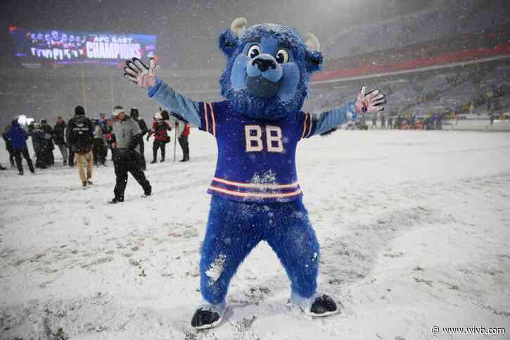 Now is your chance to be the next Billy Buffalo