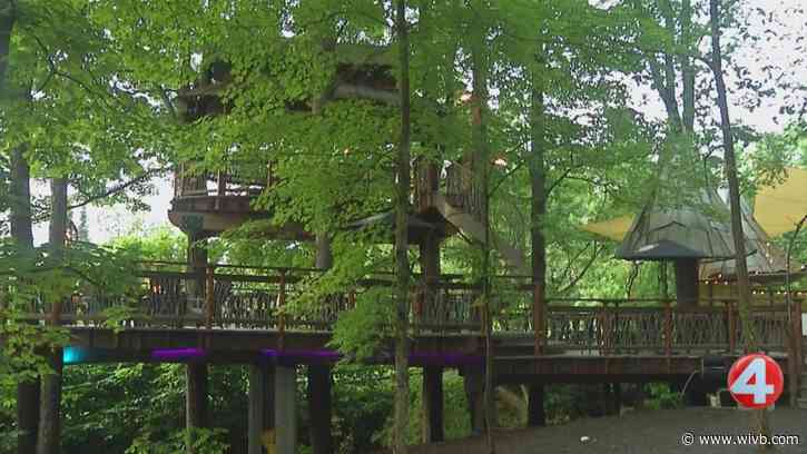 New season brings new fun to Blueberry Treehouse Farm