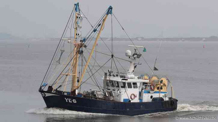 Maarten Hakvoort koopt garnalenkotter YE-6 en begint voor zichzelf