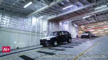 Warum E-Autos die Schifffahrt vor neue Probleme stellen