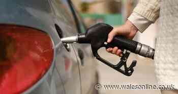 Drivers told to fill up their car's fuel tank before hot weather arrives