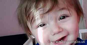 Ethan Ives-Griffiths' brain injuries could have been caused by 'fist, hand or knee', murder trial hears