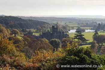 The scenic mountain bike trail where you’ll spot a spooky castle, wildlife and woodlands
