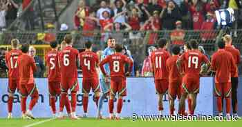 Wales fan suffered broken back bone in stadium fall as TV star rushed to help